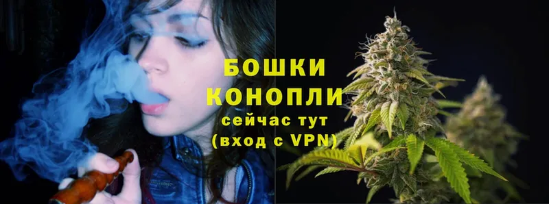 Шишки марихуана SATIVA & INDICA  где найти наркотики  Калининск 